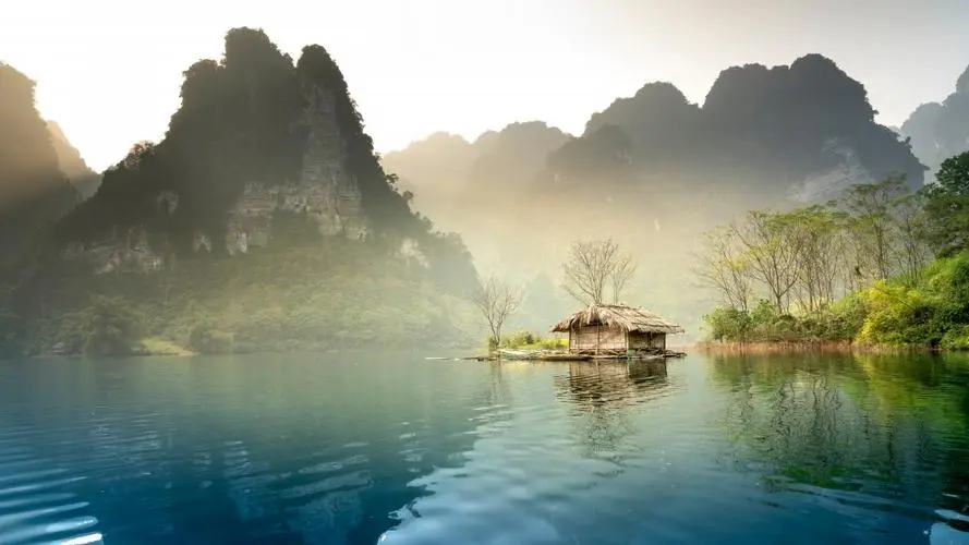 网络化全自动高端
